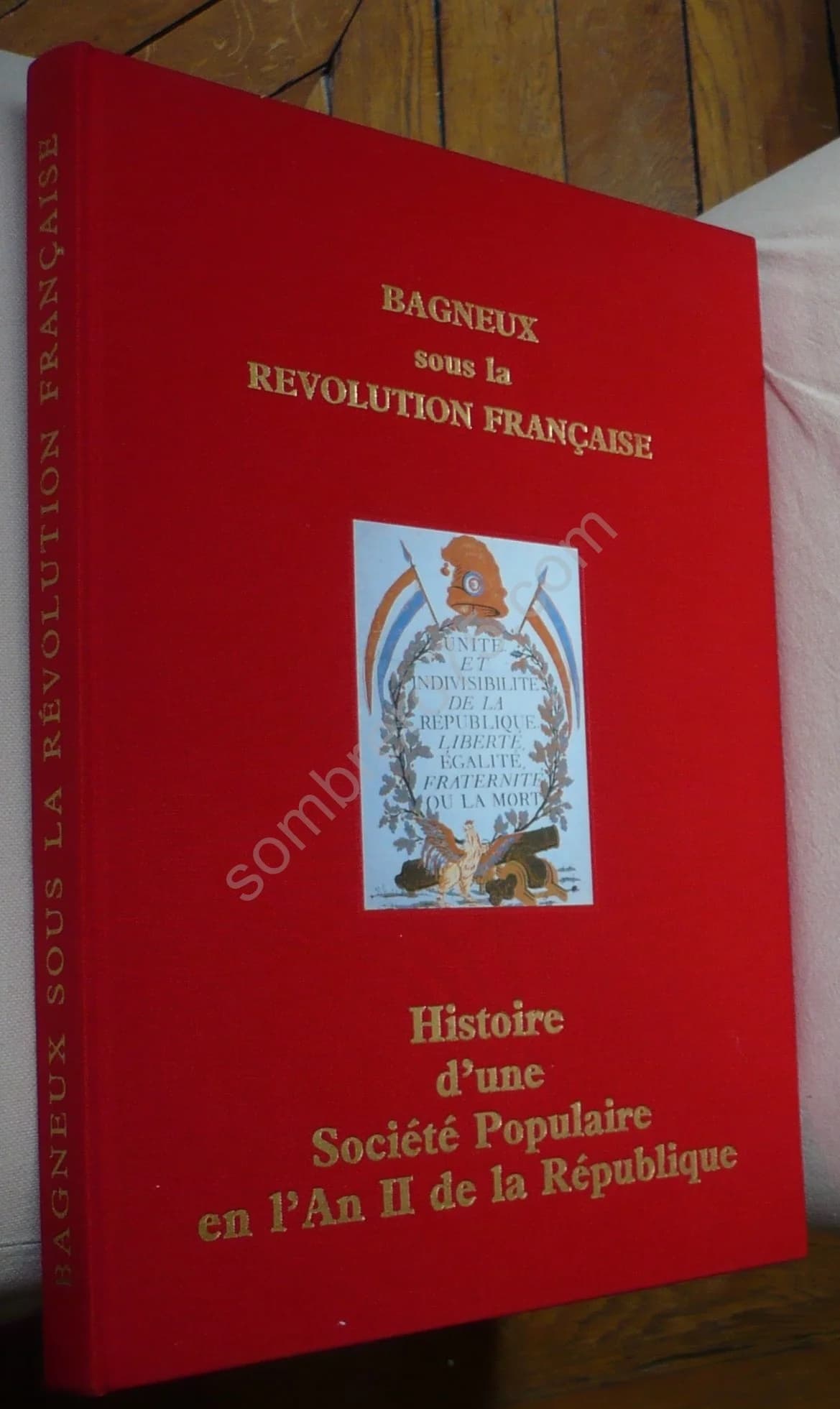Bagneux sous la Révolution Française : Histoire d'une Société Populaire en l'an II de la République