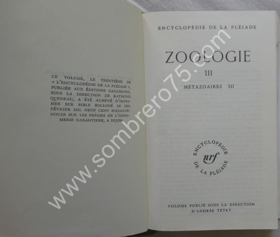 Zoologie - Métazoaires - Tome 3 - Image 3