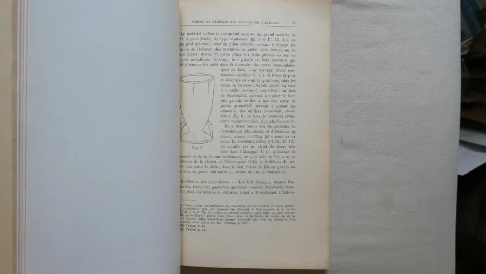 Moeurs et Médecine des Touareg de l'Ahaggar. Dr H FOLEY - Image 6