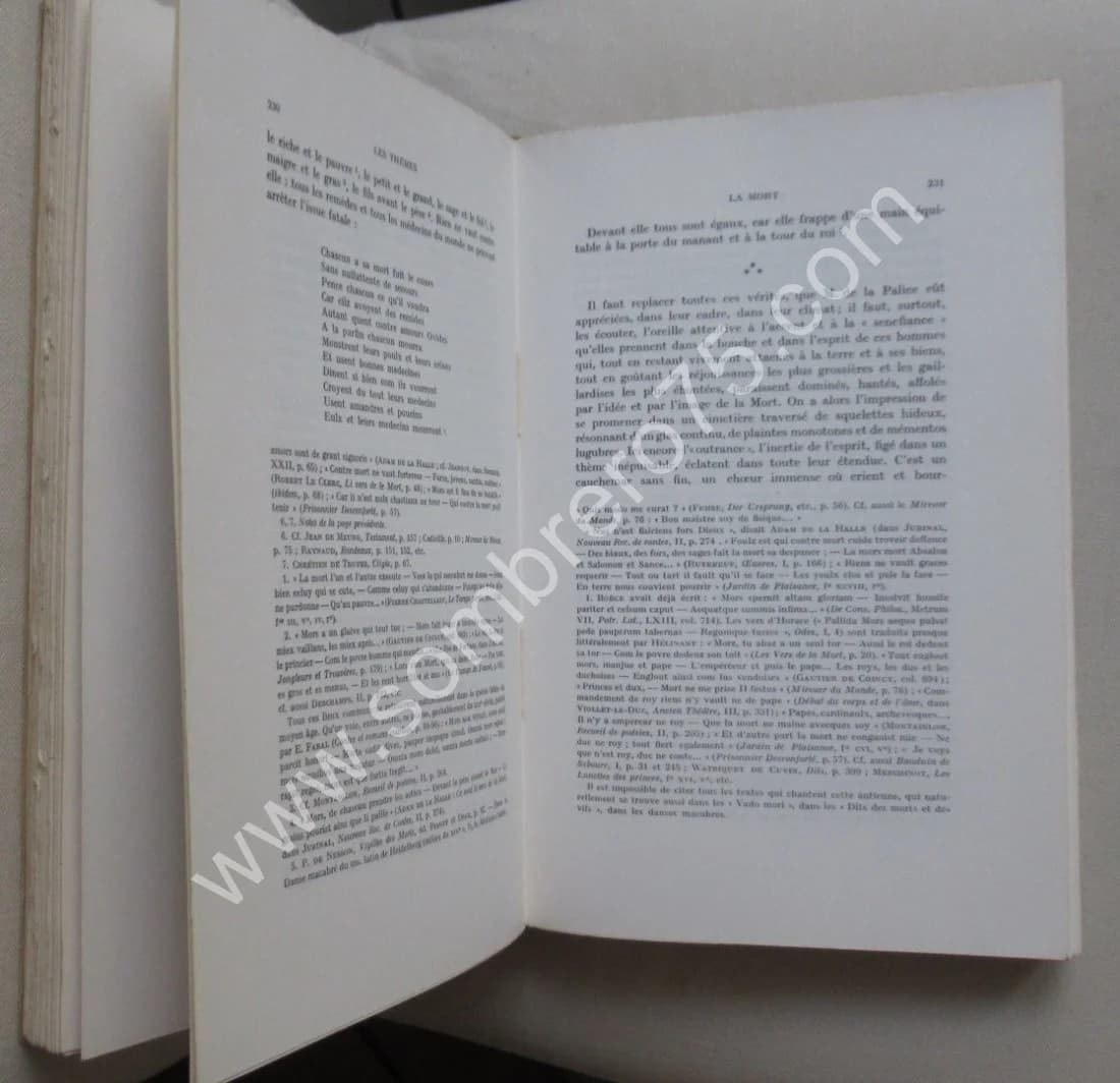 François Villon et les Thèmes Poétiques du Moyen-Age - Image 4