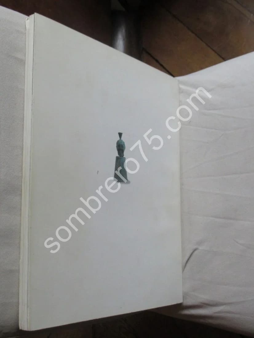 Guy FERRER : 2 catalogues dont "de la poussière et un peu d'eau" - Image 14