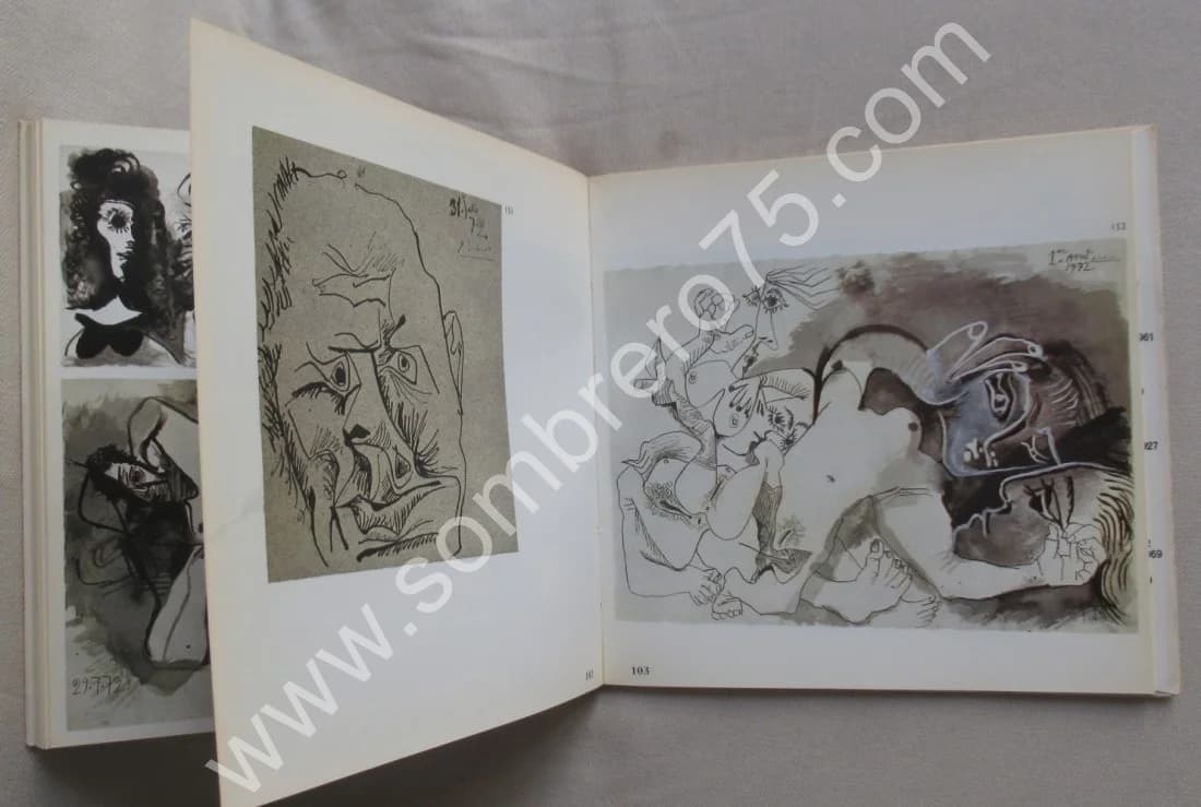 Picasso 172 Dessins en Noir et en Couleurs - Image 7