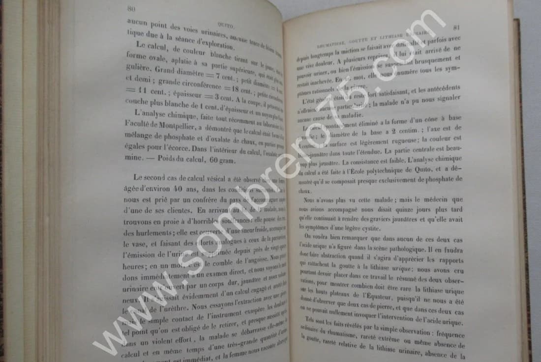 La Capitale de l'Equateur au pont de vue Médico-Chirurgical. et D DOMEC 1886 Envoi L DAUDET - Image 6