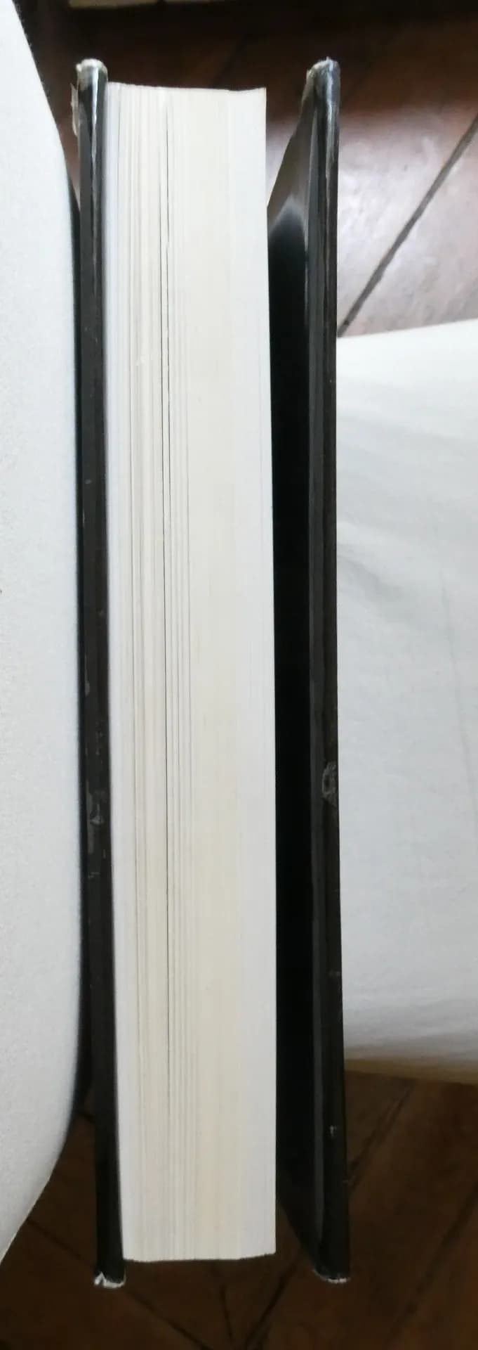 Picasso Affiches. Ch. CZWIKLITZER - Image 13