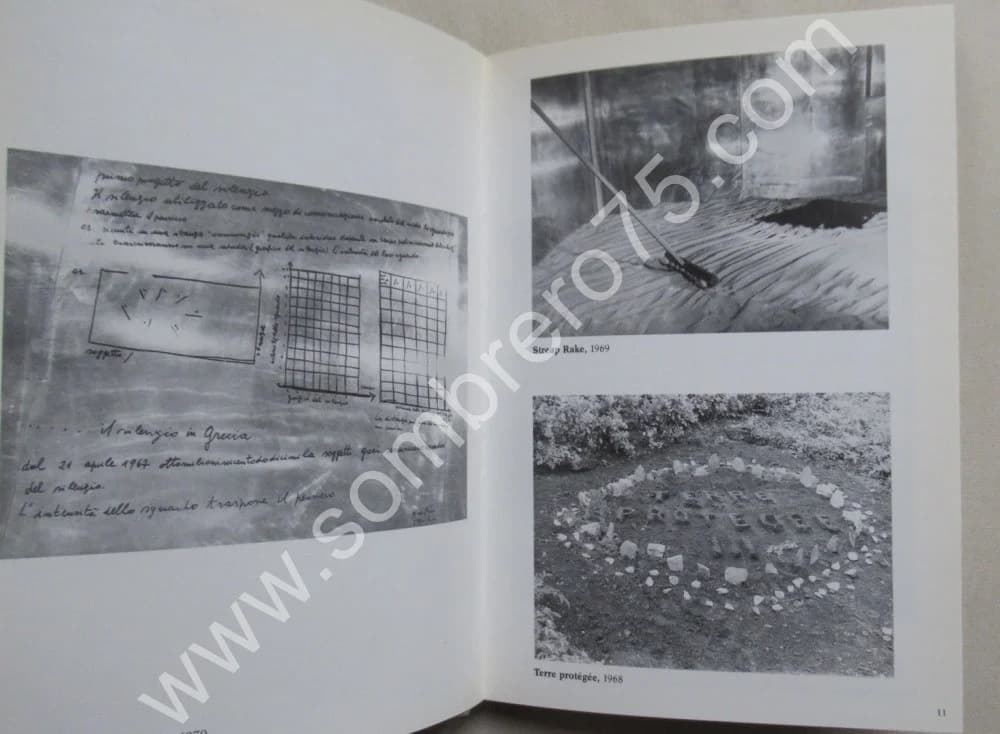GINA PANE - Image 5