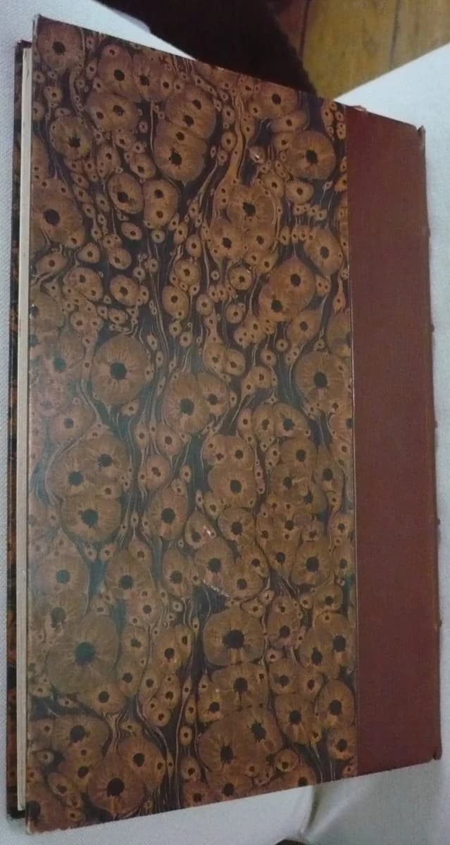 Les Luthiers Lorrains - Essai de Répertoire des Artistes Lorrains - Image 2