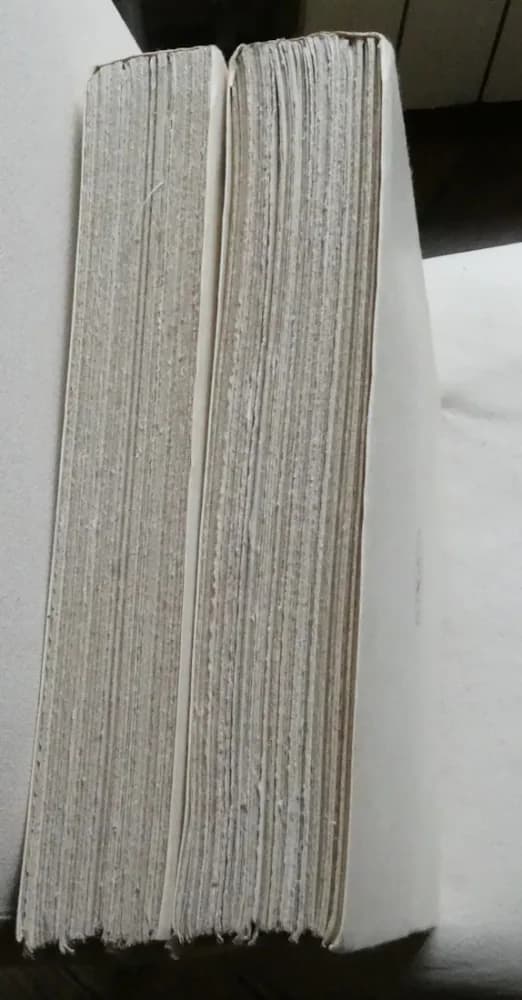 La Comédie en Peinture. 2 Tomes. J G VIBERT 1902 - Image 12