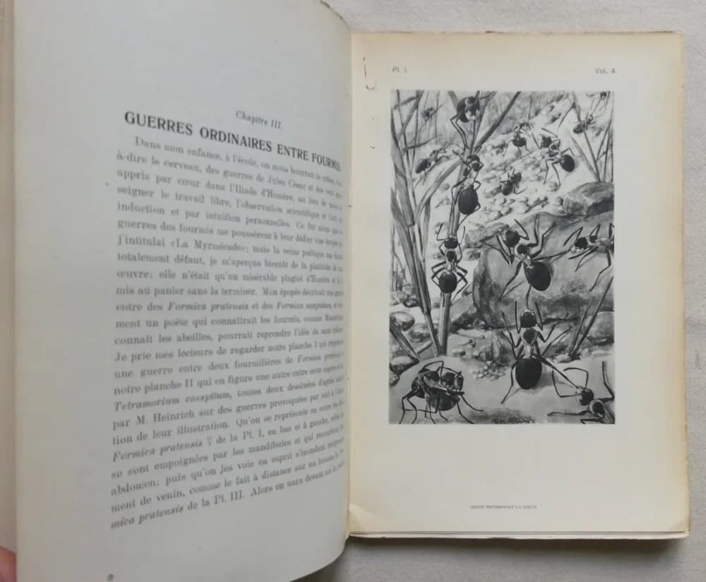 Le Monde Social des Fourmis. A. FOREL 5 Tomes - Image 14